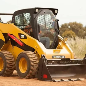 Bobcat